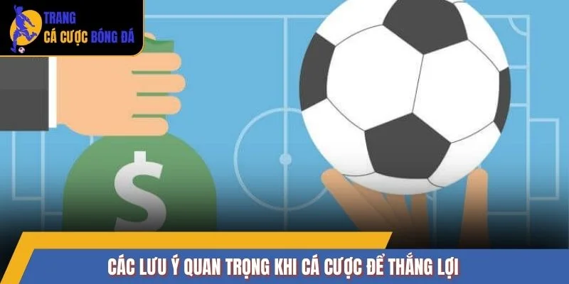 Các lưu ý quan trọng khi cá cược để thắng lợi